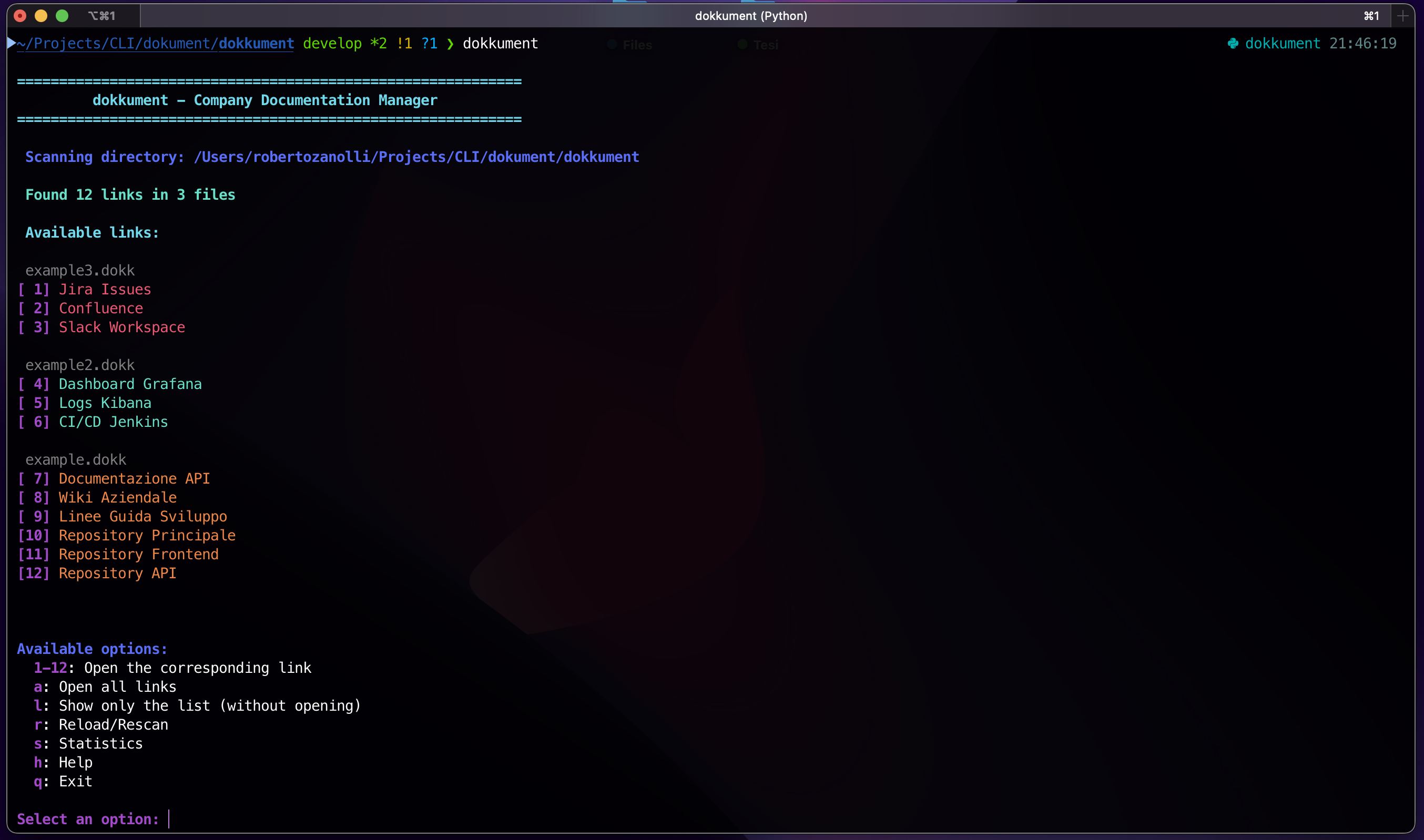 Dokkument CLI full output example